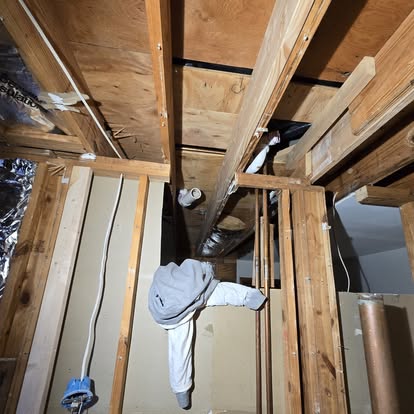 Half Bath to Full Suite 15