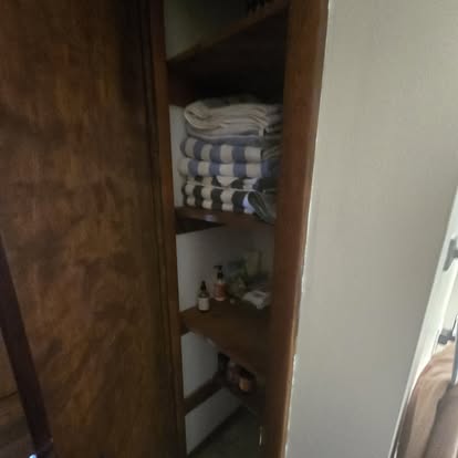 Half Bath to Full Suite 16